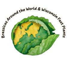 Brassicas Around the World