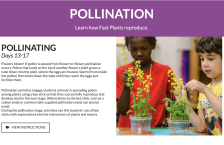 Fast Plants Pollination screenshot