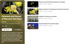 Screenshot of the Fast Plants YouTube playlist on pollinating and harvesting Fast Plants