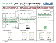 Polycot selection Investigation comparison calendar