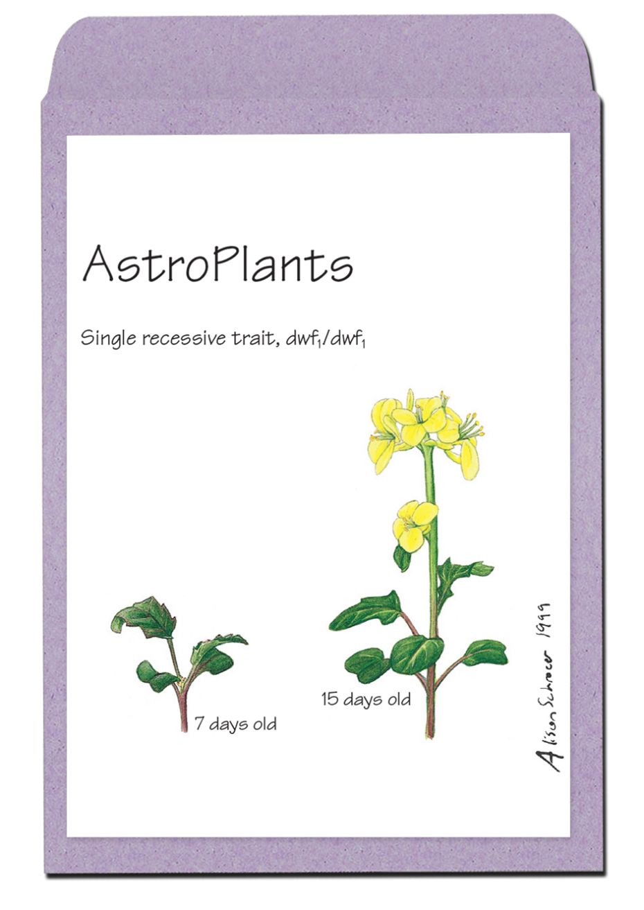astroplants