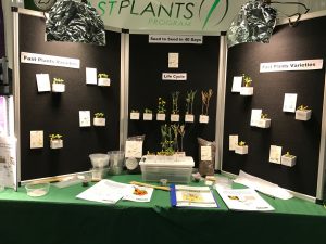 Life cycle display from Wisconsin Fast Plants Booth: NSTA 2017