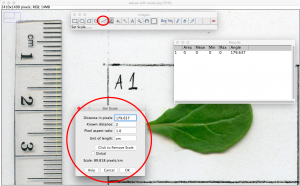 Using ImageJ tool for counting leaf hairs on Fast Plants