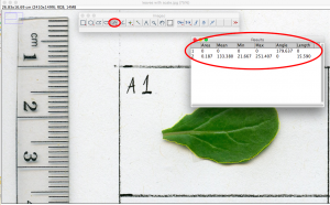 calculating leaf hairs with ImageJ