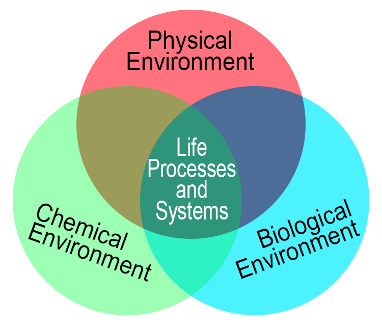 using visual understanding environment to plan life