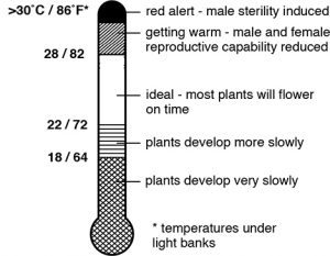 Fast Plants Temperature Range