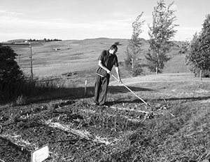 growing-plants-community-garden-plot_moscow-idaho