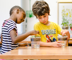 hands-on_gardening