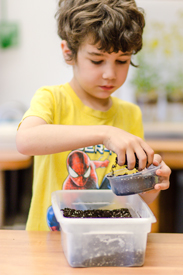 hands-on_planting