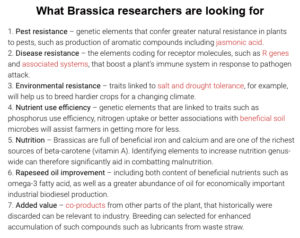Where to start: Brassica research