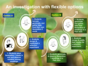 Comparison of Polycots Selection Experiment options