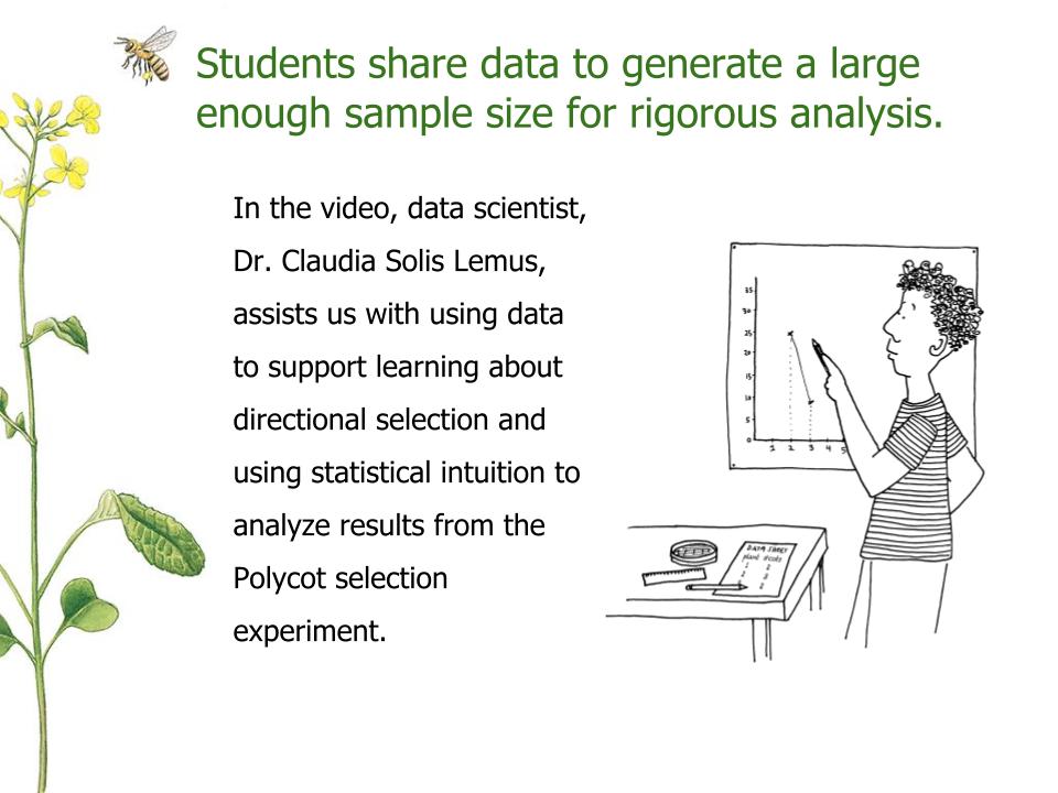 Sharing and analzying Polycots Fast Plants data