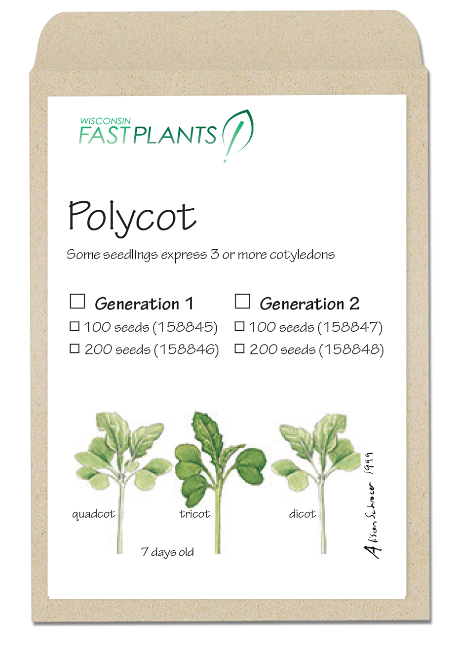 Polycots seed envelope image
