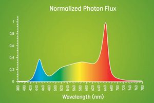 optimal grow light wavelength output distribution for Fast Plants