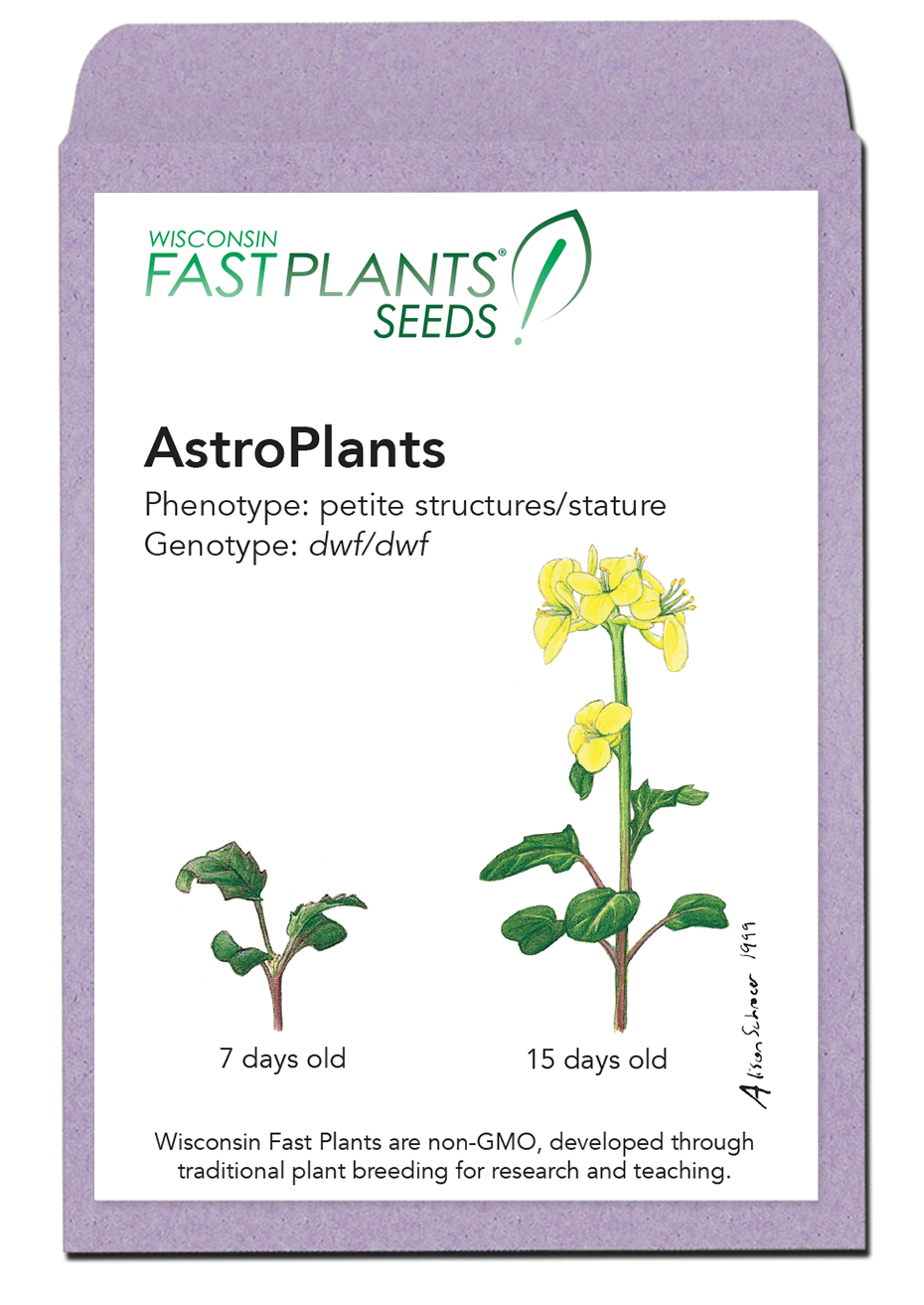 AstroPlants seed packet