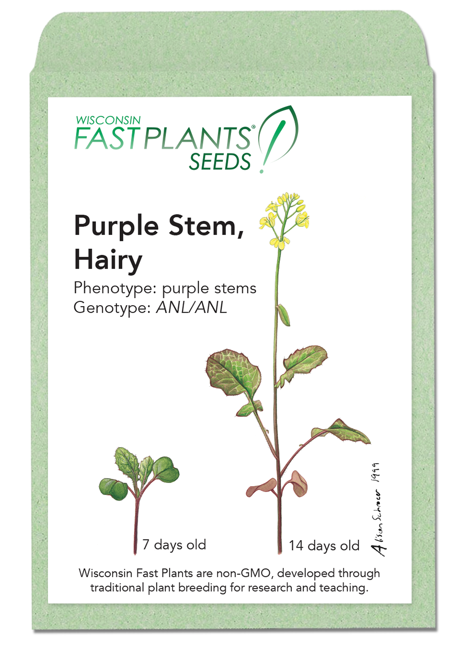 Purple Stem Hairy Fast Plants seed packet