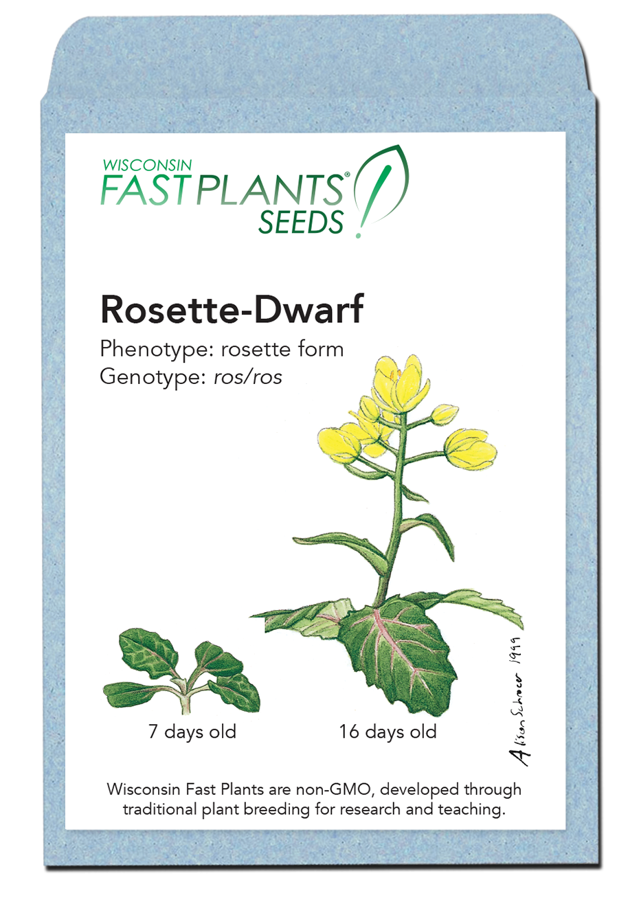Rosette-Dwarf Fast Plants seed packet