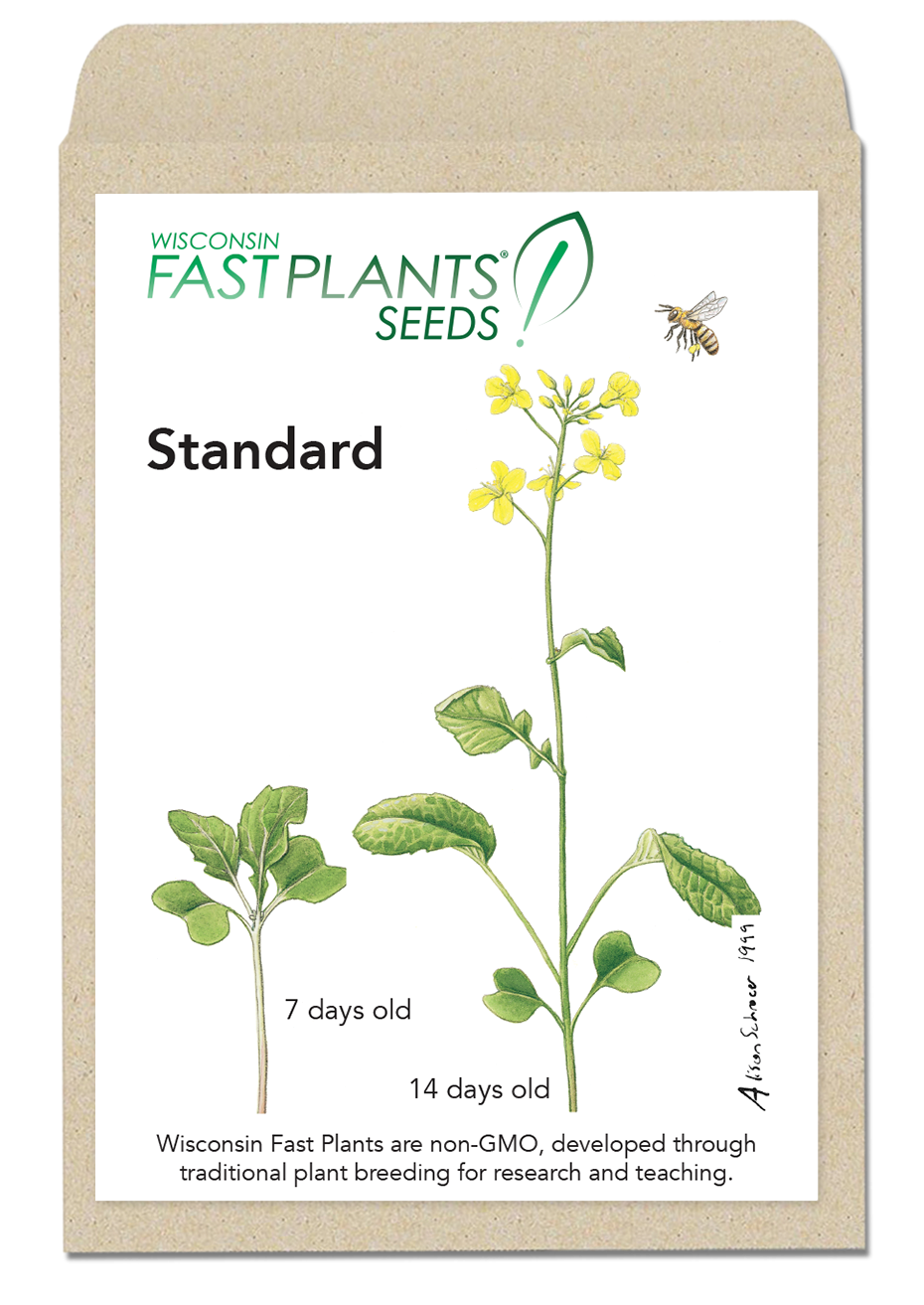 Standard Wisconsin Fast Plants seed packet
