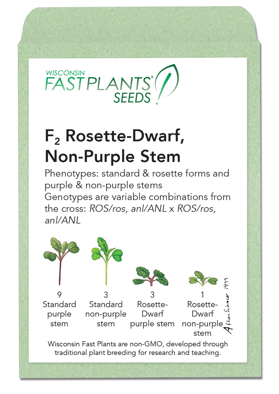 F2 Rosette-Dwarf, Non-Purple Stem Fast Plants seed packet