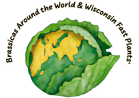 Title slide for Brassicas Around the World & Wisconsin Fast Plants video