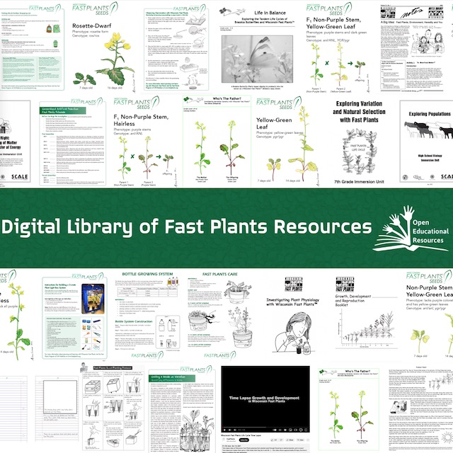 Digital Library of Fast Plants Resources - Wisconsin Fast Plants®