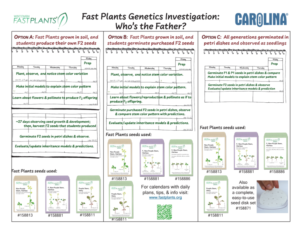 Teach Inheritance with Fast Plants -- three timelines for genetics investigations